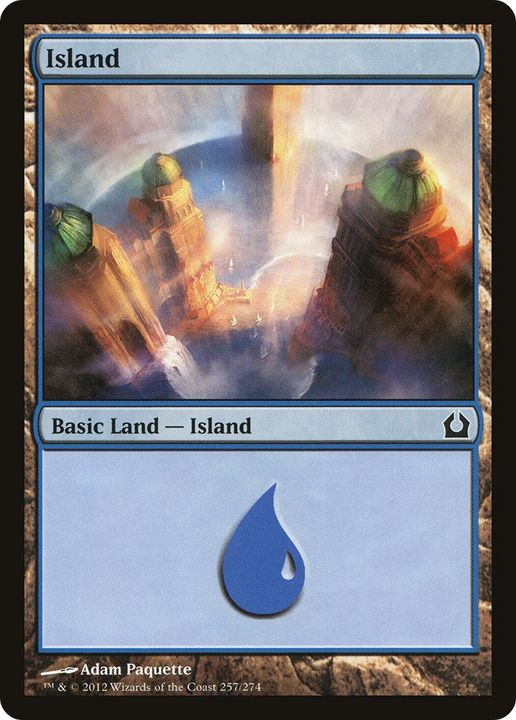 Island in the group Magic the Gathering / Sets / Revised Edition at Proxyprinters.com (88114)