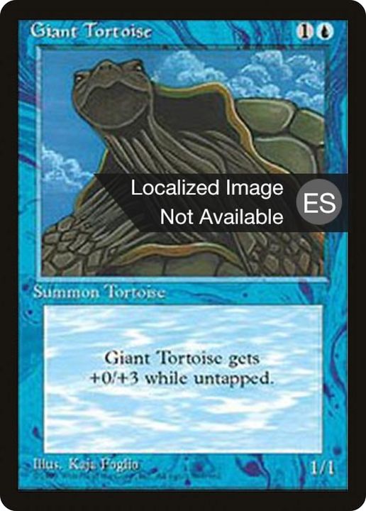 Giant Tortoise in the group Advanced search at Proxyprinters.com (88575)