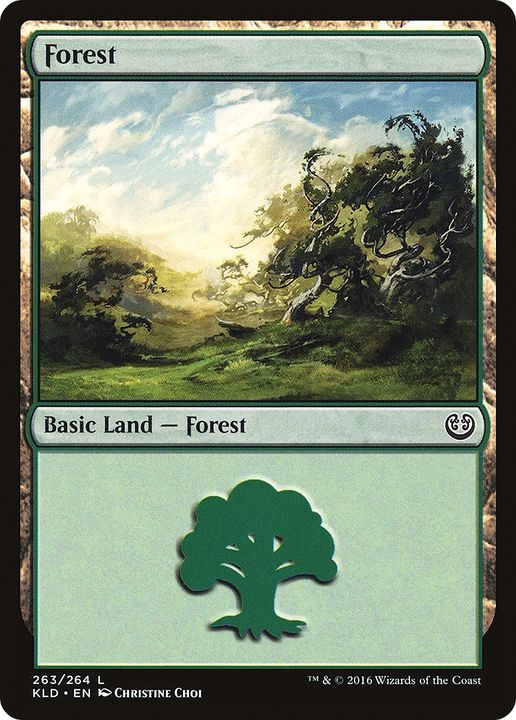 Forest in the group Magic the Gathering / Types / Land / Forest at Proxyprinters.com (88639)