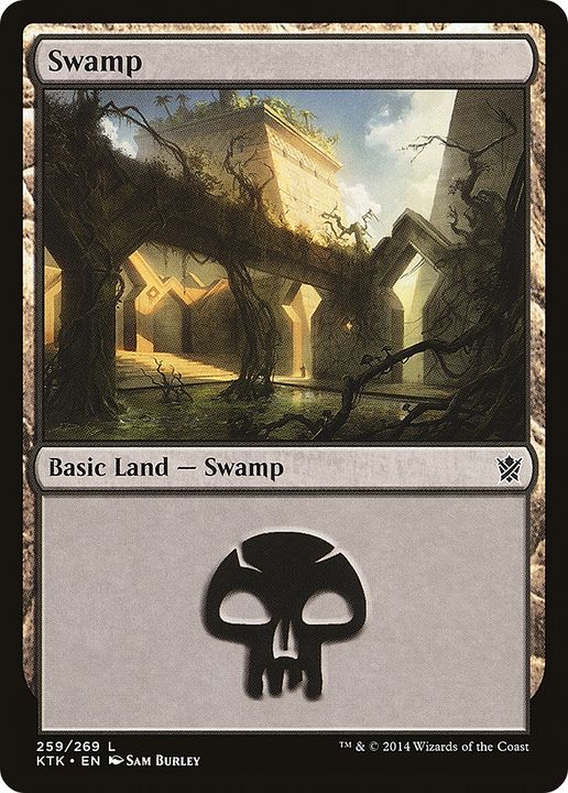 Swamp in the group Magic the Gathering / Types / Land / Swamp at Proxyprinters.com (88679)