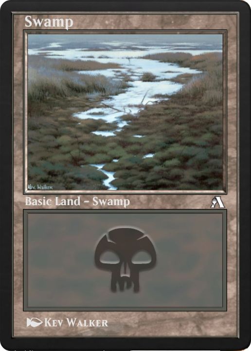 Swamp in the group Singles at Proxyprinters.com (8893)