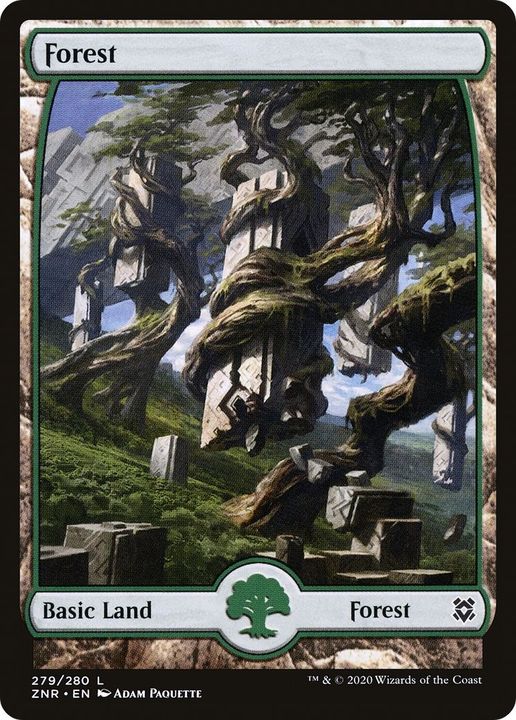 Forest in the group Magic the Gathering / Types / Land / Forest at Proxyprinters.com (8972)