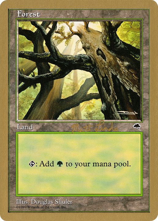 Forest in the group Magic the Gathering / Types / Land / Forest at Proxyprinters.com (90396)