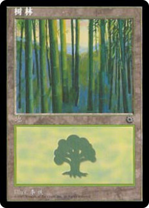 Forest in the group Magic the Gathering / Types / Land / Forest at Proxyprinters.com (90453)