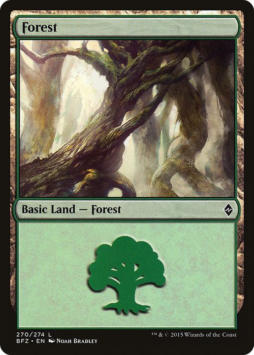 Forest in the group Magic the Gathering / Types / Land / Forest at Proxyprinters.com (90654)