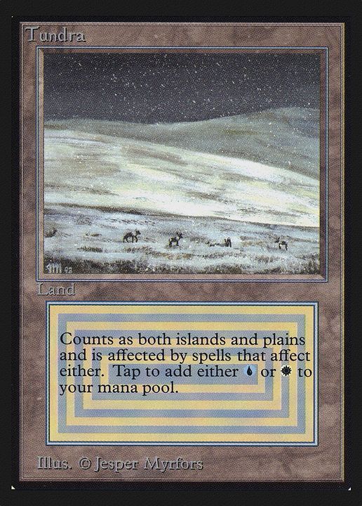 Tundra in the group Magic the Gathering / Types / Land / Island at Proxyprinters.com (90733)