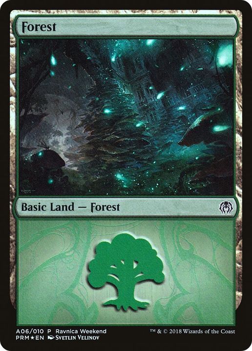 Forest in the group Magic the Gathering / Sets / Game Night 2019 at Proxyprinters.com (9169)