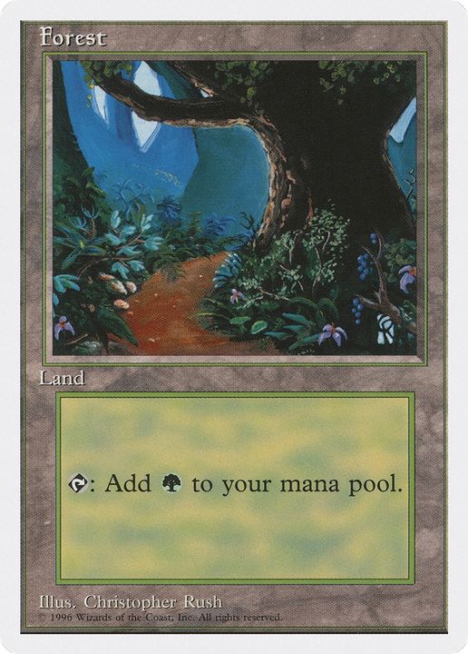 Forest in the group Magic the Gathering / Types / Land / Forest at Proxyprinters.com (91888)