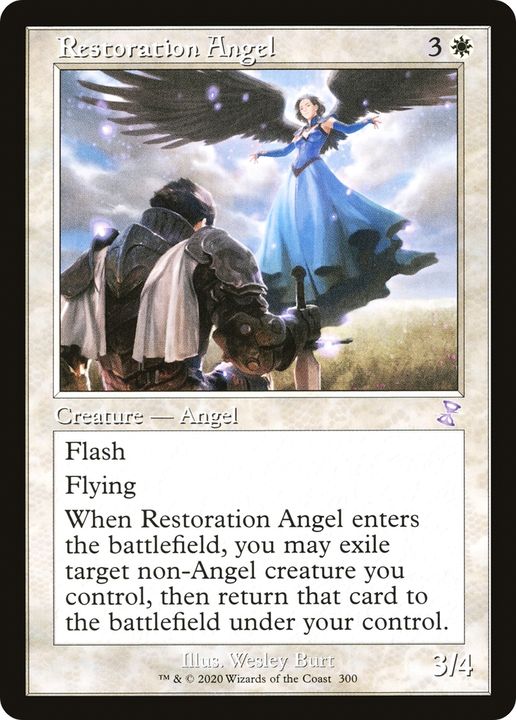 Restoration Angel in the group Advanced search at Proxyprinters.com (92091)