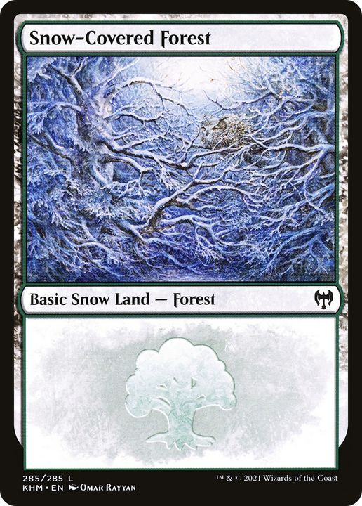 Snow-Covered Forest in the group Singles at Proxyprinters.com (92808)