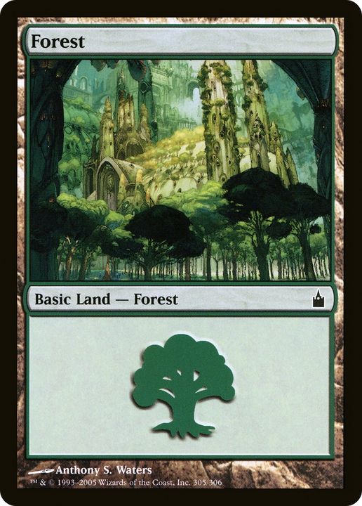 Forest in the group Magic the Gathering / Types / Land / Forest at Proxyprinters.com (92825)