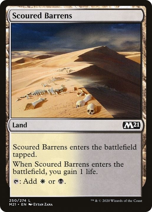 Scoured Barrens in the group Magic the Gathering / Types / Colors / Colorless at Proxyprinters.com (93009)