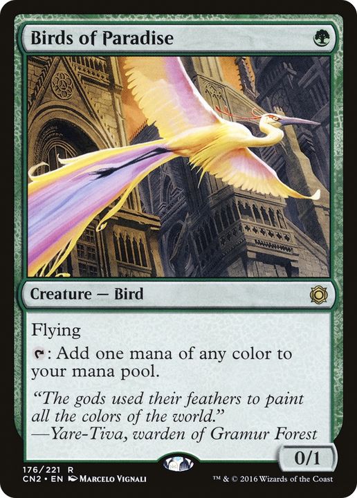 Birds of Paradise in the group Singles at Proxyprinters.com (93103)