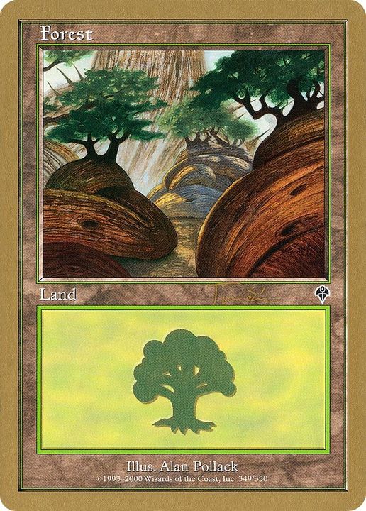 Forest in the group Magic the Gathering / Types / Land / Forest at Proxyprinters.com (9317)