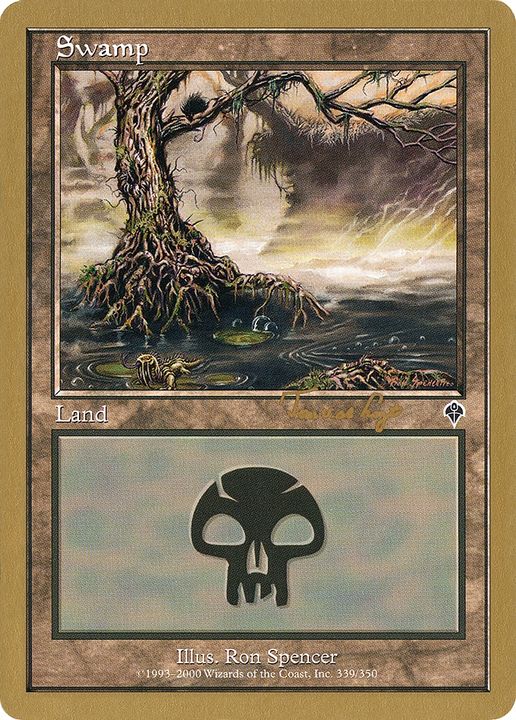 Swamp in the group Magic the Gathering / Sets / World Championship Decks 2001 at Proxyprinters.com (93292)