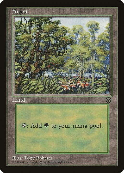 Forest in the group Magic the Gathering / Types / Land / Forest at Proxyprinters.com (9517)