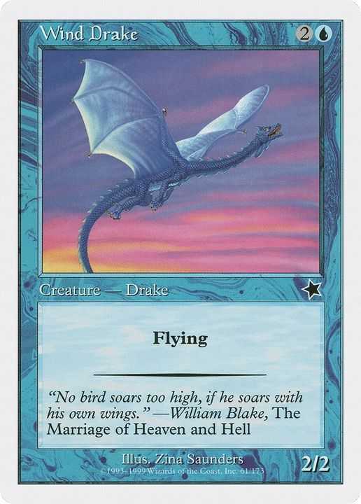 Wind Drake in the group Advanced search at Proxyprinters.com (961)