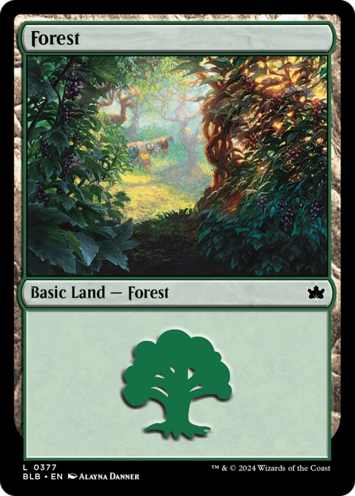 Forest in the group Magic the Gathering / Sets / Bloomburrow at Proxyprinters.com (96534)