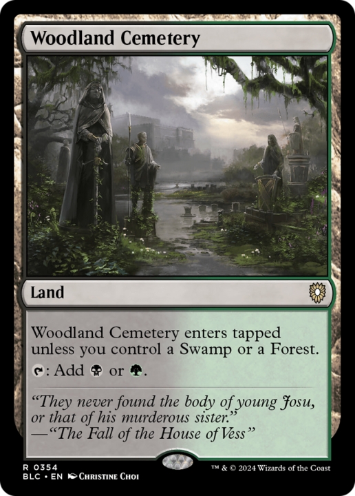 Woodland Cemetery in the group Magic the Gathering / Sets / Bloomburrow Commander at Proxyprinters.com (96766)