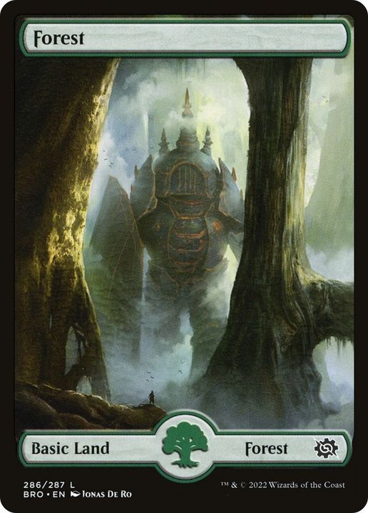 Forest in the group Magic the Gathering / Types / Land / Forest at Proxyprinters.com (9679)