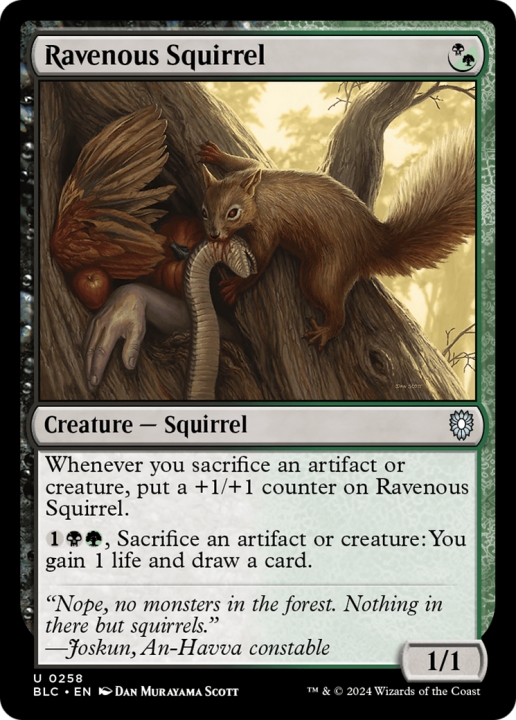 Ravenous Squirrel in the group Magic the Gathering / Sets / Bloomburrow Commander at Proxyprinters.com (97297)