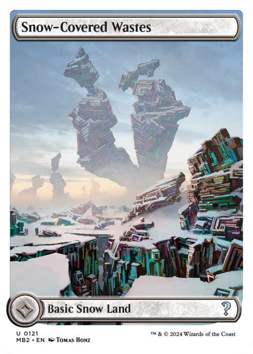 Snow-Covered Wastes in the group Magic the Gathering / Sets / Mystery Booster 2 at Proxyprinters.com (97395)