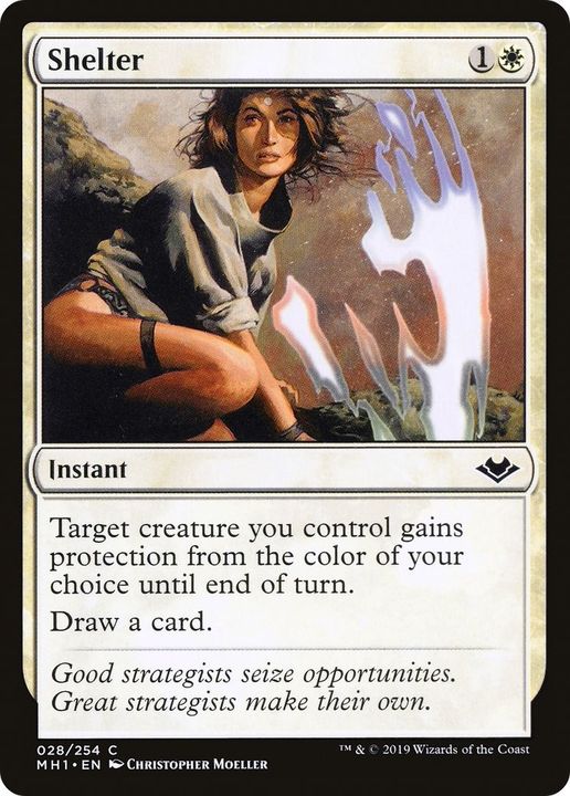 Shelter in the group Magic the Gathering / Types / Colors / White at Proxyprinters.com (9763)