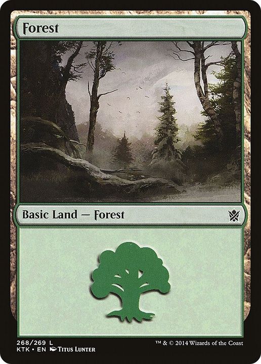 Forest in the group Magic the Gathering / Types / Land / Forest at Proxyprinters.com (9933)