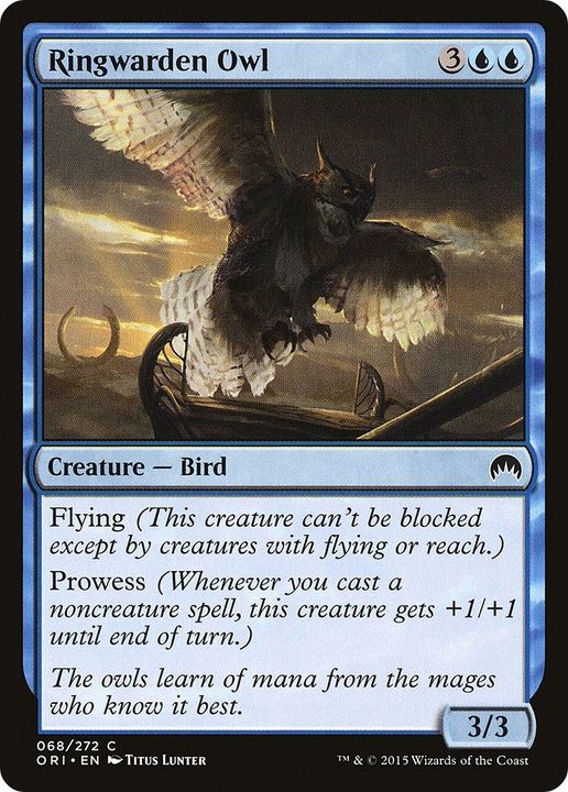 Ringwarden Owl in the group Magic the Gathering / Types / Colors / Blue at Proxyprinters.com (9956)