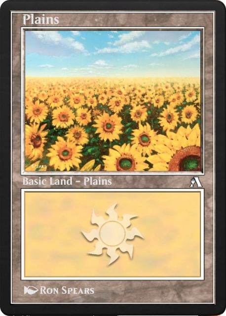 Plains