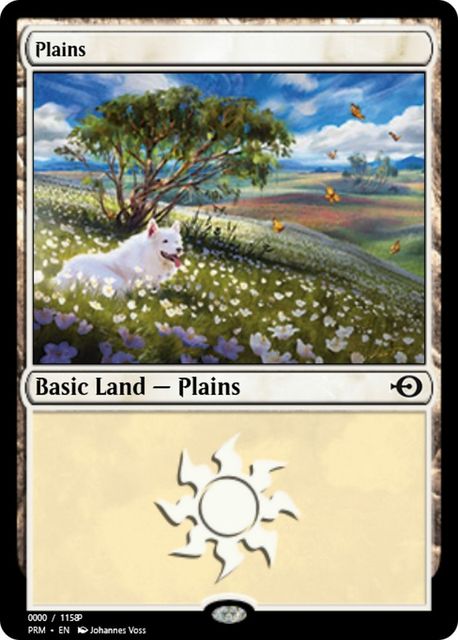 Plains