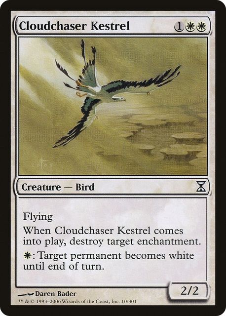 Cloudchaser Kestrel