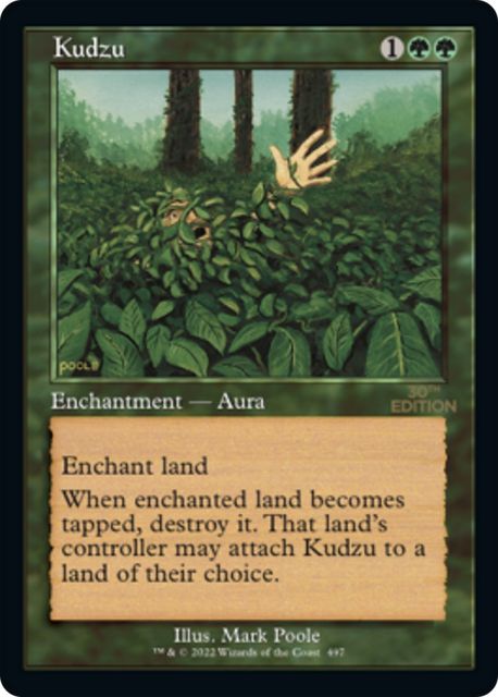 Kudzu