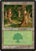 Forest Forest