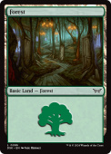 Forest Forest