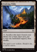 Evolving Wilds Evolving Wilds