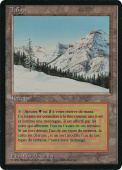 Taiga Taiga