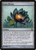 Lotus Bloom Lotus Bloom