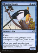 Thieving Magpie Thieving Magpie