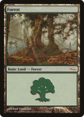Forest Forest