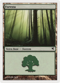 Forest Forest
