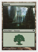 Forest Forest