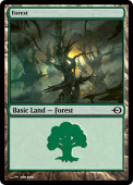 Forest Forest