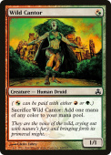 Wild Cantor Wild Cantor