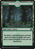 Forest Forest