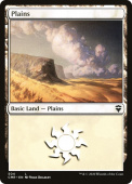 Plains Plains