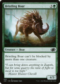 Bristling Boar Bristling Boar