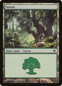 Forest Forest