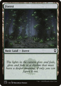 Forest Forest