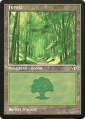 Forest Forest